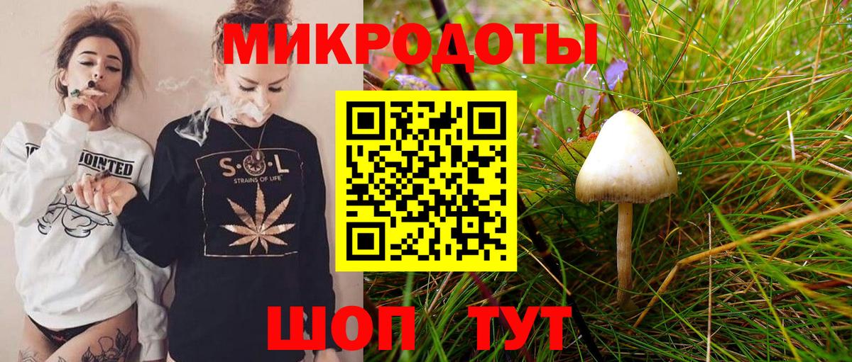 Галлюциногенные грибы Cubensis  Вход с VPN  Галлюциногенные грибы MAGIC MUSHROOMS  Пушкино 